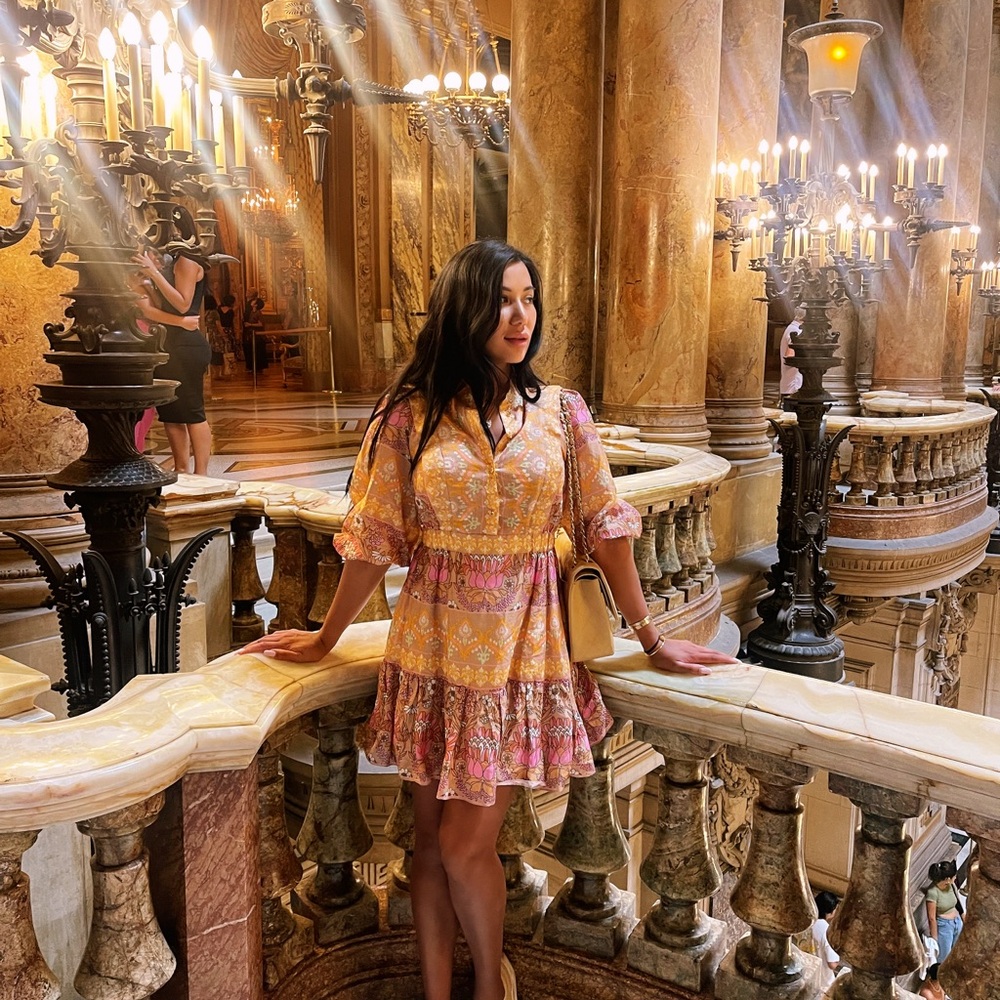 Sandro Brand Dress